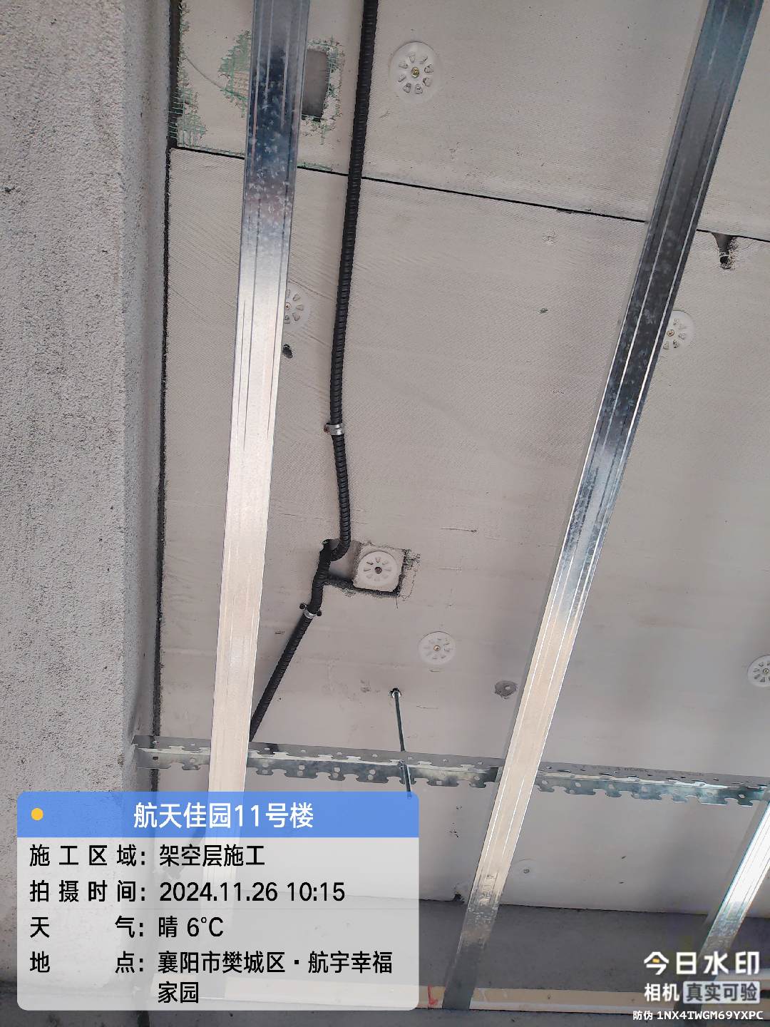 宋子峰 2024-11-26 10-15-11.jpg